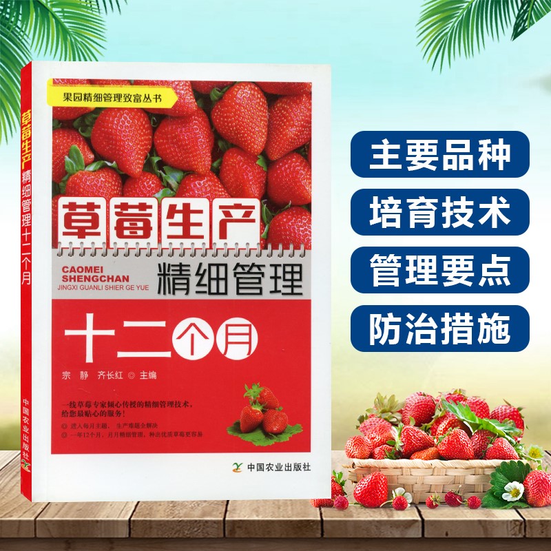 草莓生产精细管理十二个月   育苗栽培技术授技术疏花蔬果技术畸形果防治技术套种技术及病虫害防治草莓栽培种植技术书籍