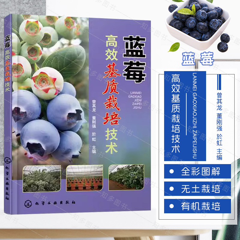 蓝莓高效基质栽培技术