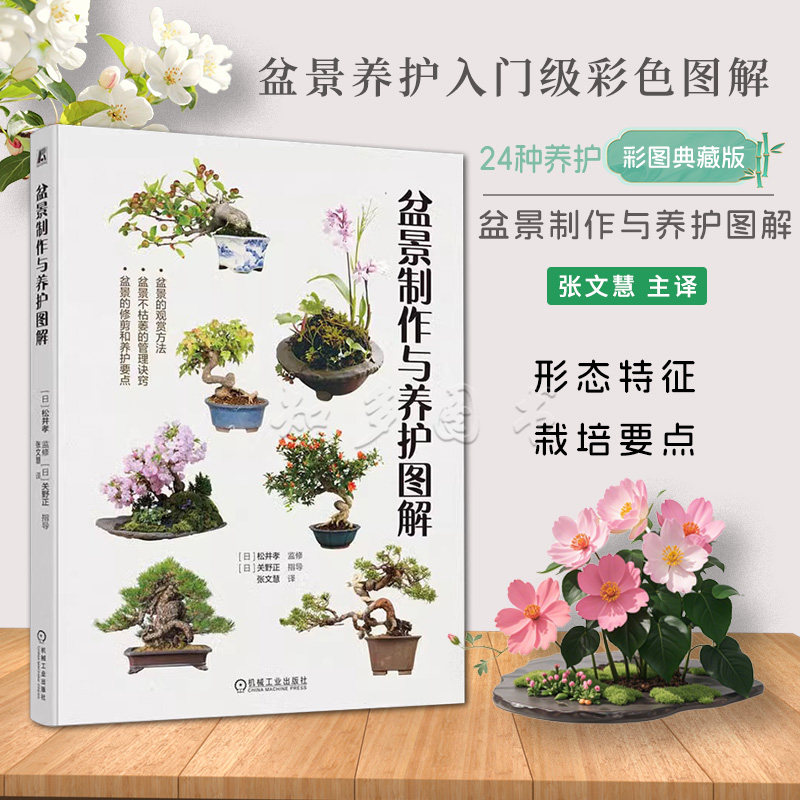 盆景制作与养护图解点观赏要点图片