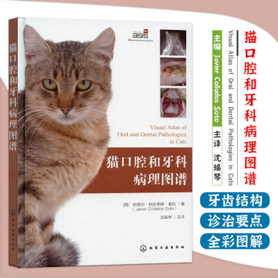 猫口腔和牙科病理图谱 猫牙科病理图谱治疗手册 犬猫组织学牙齿结构 犬猫齿系图谱 小动物牙周探查图例 宠物医生兽医入门参考书籍