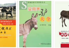 实用养驴大全 +如何办一个赚钱的肉驴家庭养殖场+目标养驴关键技术有问必答 养驴书籍 养驴图书 养驴