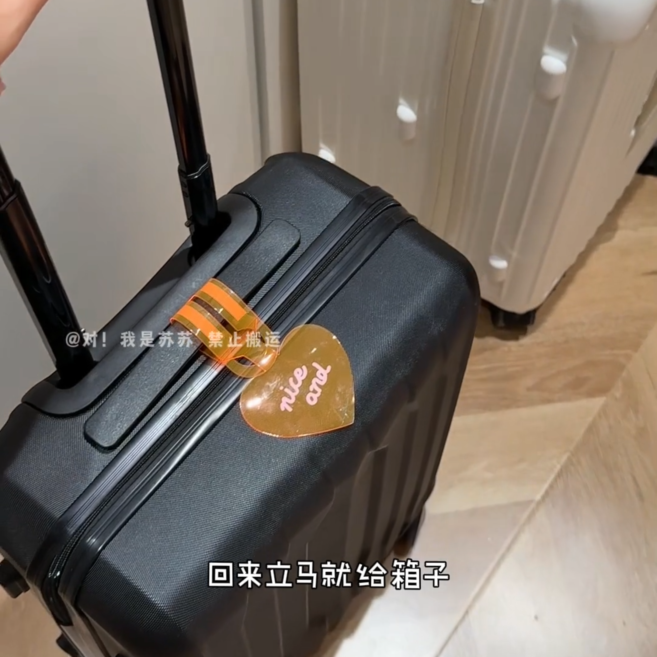 行李牌荧光PVC吊牌带挂绳机旅行登机箱包防丢配件行李挂牌