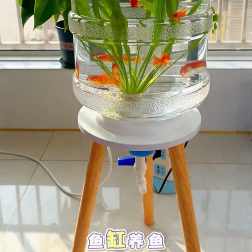 创意透明鱼缸全套自制生态缸纯净水桶改造养鱼神器矿泉水桶支架