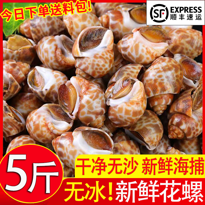 新鲜花螺鲜活海螺特大号海鲜水产鲜活鲜冻冷冻东风螺特大花螺贝类