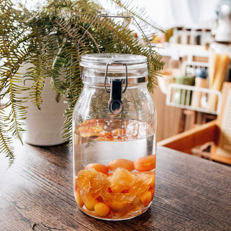 星硝泡酒罐自制水果酒密封罐杨梅青梅酒咸金桔蜂蜜柠檬泡菜玻璃罐