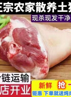 散养土猪前肘子冷冻商用批发