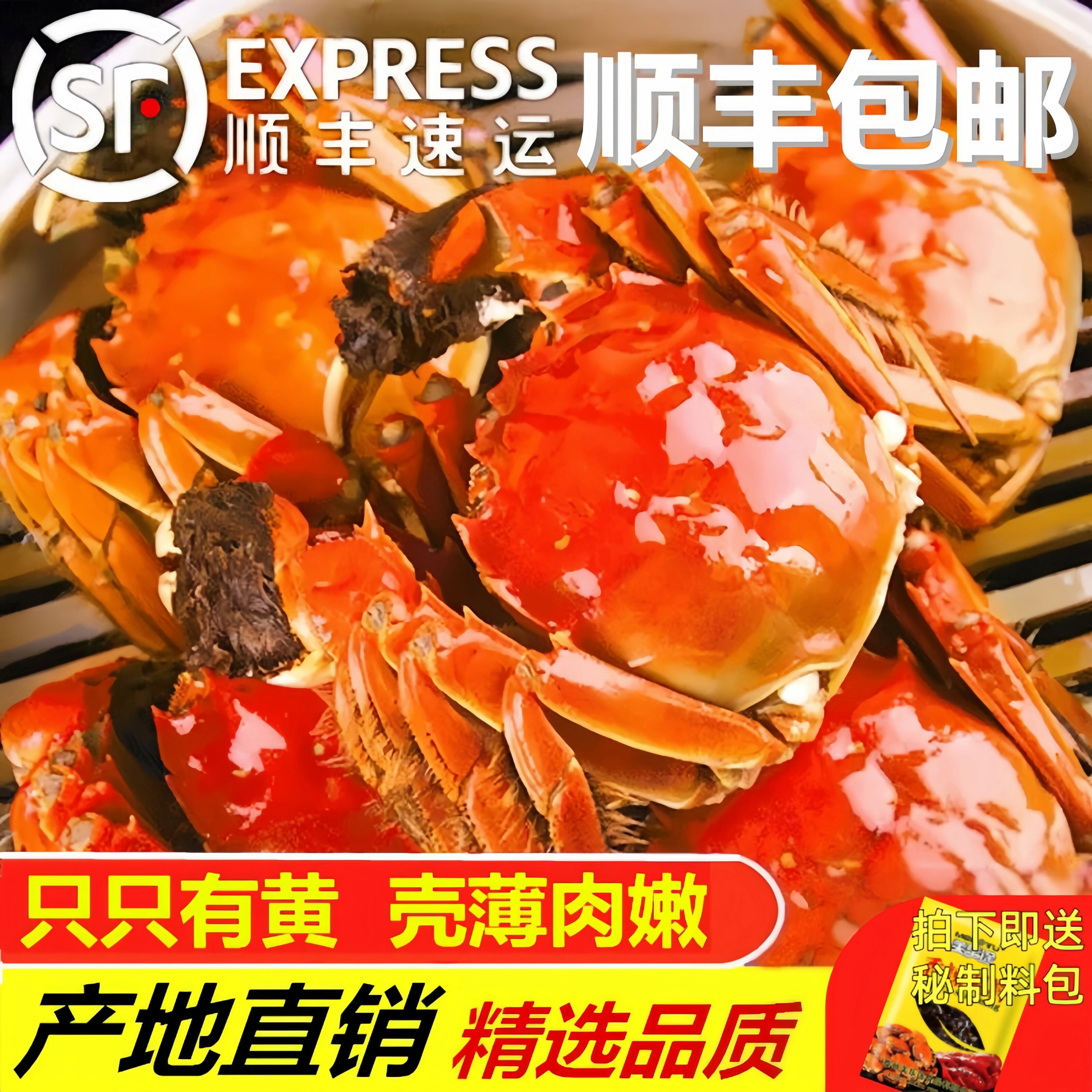 盘锦鲜活特大母大闸蟹礼盒