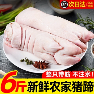 猪蹄生鲜猪蹄块猪蹄前蹄猪蹄膀农家散养整只大号火锅冷冻商用顺丰