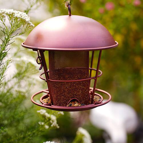 outdoor metal bird feeder 亚马逊户外金属圆顶喂鸟器铁艺装饰