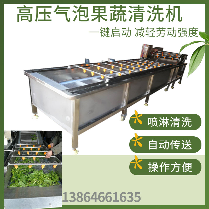 连续式天麻清洗机 调味品清洗加工设备 香辛料清洗流水线源头厂家