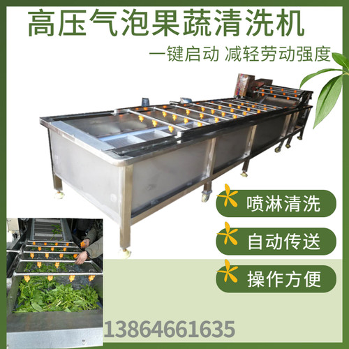 柑橘气泡清洗机 杨梅草莓果蔬喷淋清洗设备 辣椒山野菜清洗线定金