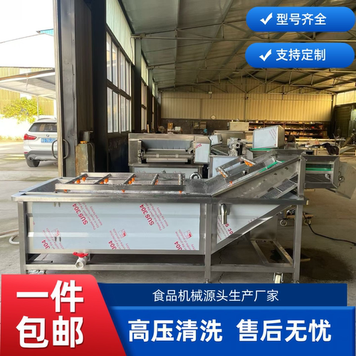 荔枝全自动气泡清洗机 刺梨气泡清洗榨汁流水线 多功能酱菜清洗机