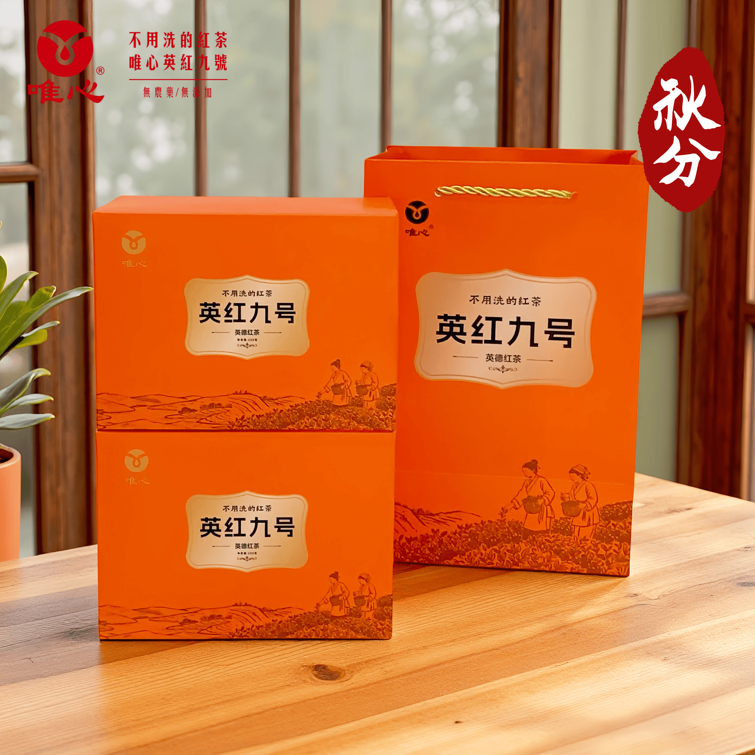 【厂区直销】秋分 唯心英红九号 高香甜润 办公室平价口粮茶500g