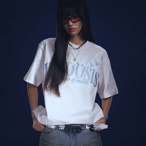 WHOOSIS（不知其名）飞鸽飘散刺绣短袖T恤重磅夏季情侣美式男女潮