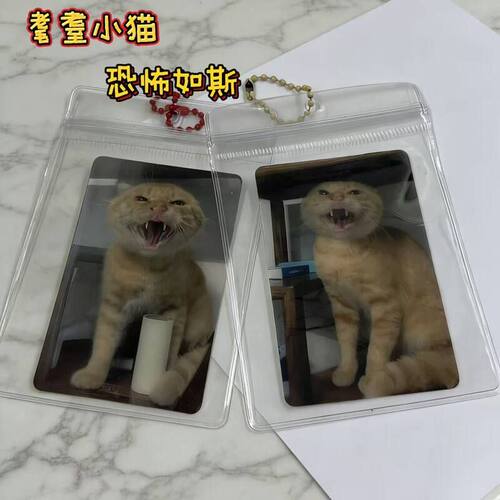 猫猫光栅卡猫咪耄耋猫光栅卡3d可爱哈基咪文化小猫挂件