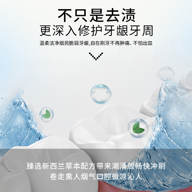 新西兰原装Red Seal/红印 去渍烟民牙膏 100g/支 3支装