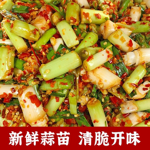 新鲜大蒜苗根须下饭菜农家凉拌香辣腌酱菜江西特产大蒜杆开味即食