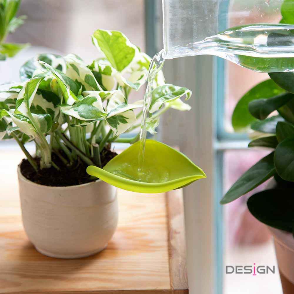 以色列Peleg Design 叶子浇水器三件套 树叶防溅水喷漏斗 Leaflow