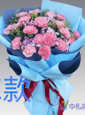 生日慰问康乃馨广西玉林花店送花兴业县北流市玉州区同城鲜花速递