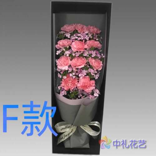 生日爱意慰问康乃馨天津花店送花南开区河北区红桥区同城鲜花快递