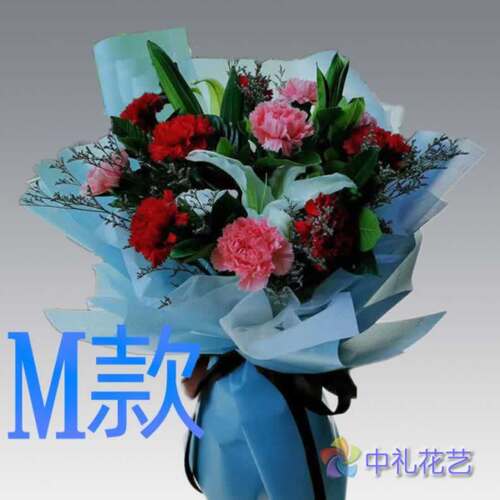生日爱意祝寿康乃馨河北邯郸花店送花涉县磁县肥乡县同城鲜花快递