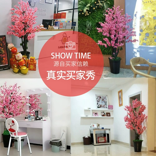 Поддельное персиковое расцвет