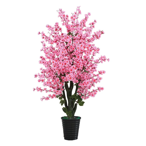 Поддельное персиковое расцвет