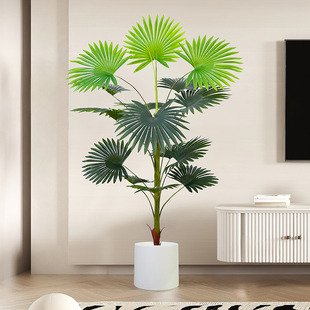 Z17仿真蒲葵室内装饰假植物落地盆栽高级轻奢仿生绿植大型客厅摆