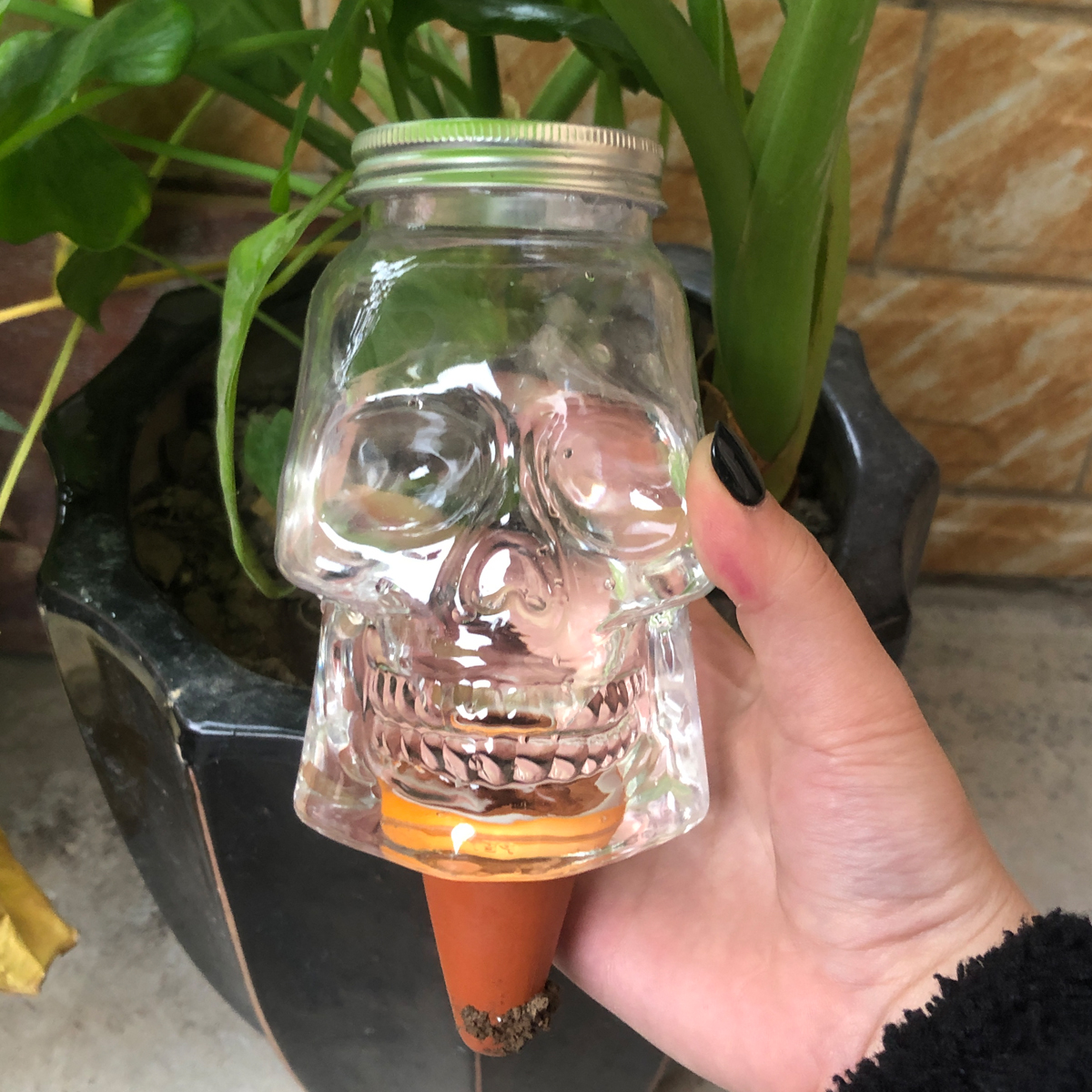 425ML骷髅头造型小型自动浇花器