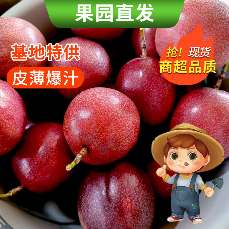 花皮百香果酸甜多汁包邮送开果器