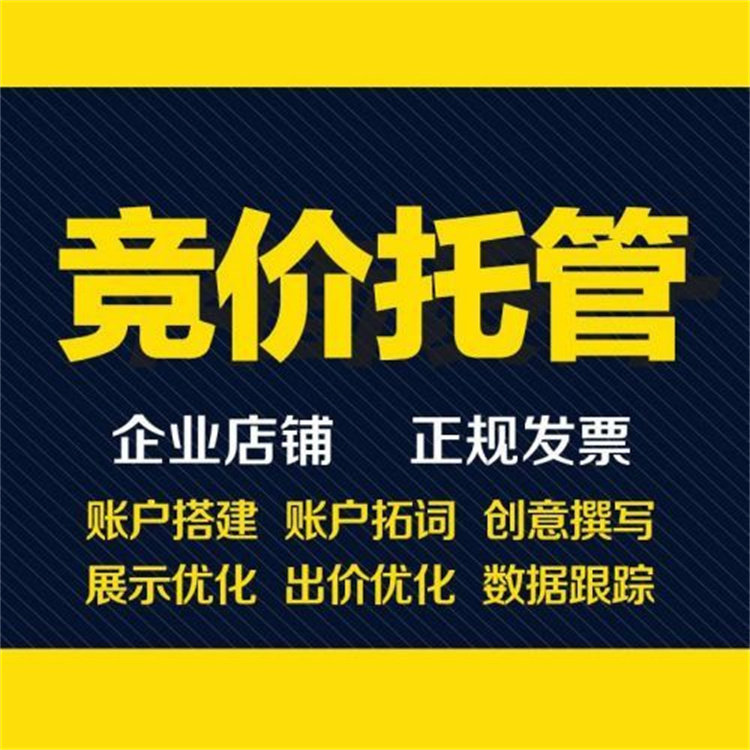 竞价托管sem百度竞价托管账户托管搭建优化外包代运营搜狗神马360