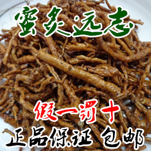 中药材 炙远志 制远志肉 蜜炙远志 正品 特价 500克包邮