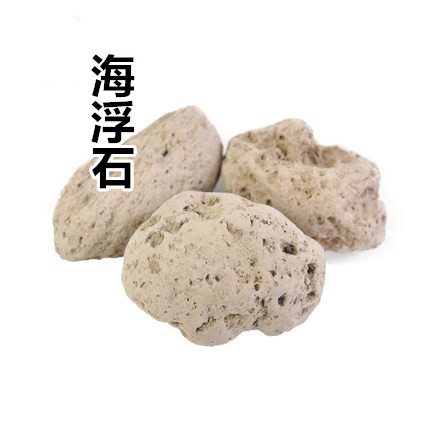 中药材海浮石 精选海浮石 海石 水泡石 浮海石500克包邮