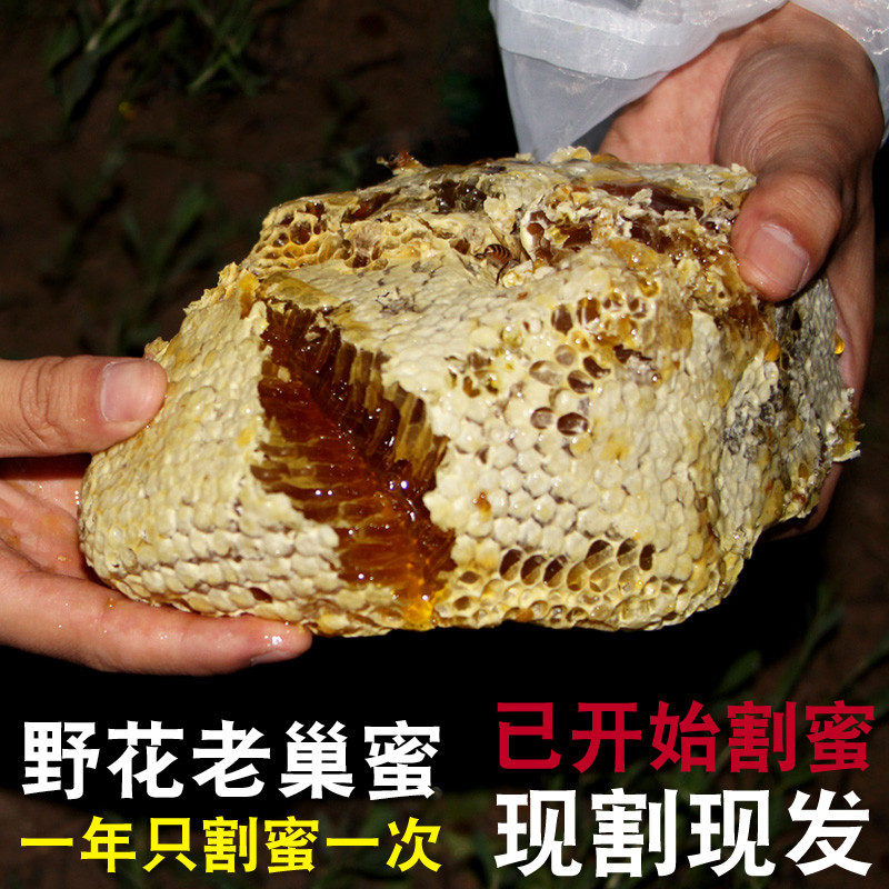 蜂巢蜜嚼着吃蜂蜜纯正老巢蜜天然蜜秦岭蜂巢农家土蜂蜜自产蜂窝巢|msdalam kategori makanan berkhasiat tradisional, madu - dari Buy2taobao.com untuk memberikan perkhidmatan ejen Taobao profesional membeli