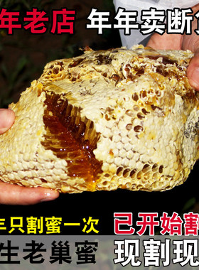 野生蜂巢蜜嚼着吃蜂蜜纯正天然老巢蜜农家正宗土蜂蜜自产蜂巢蜂窝