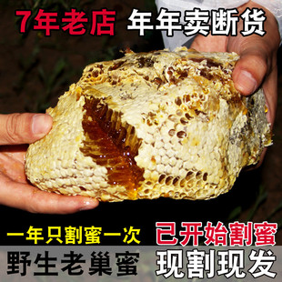 野生蜂巢蜜嚼着吃蜂蜜纯正天然老巢蜜农家正宗土蜂蜜自产蜂巢蜂窝