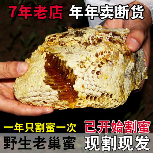 野生蜂巢蜜天然木桶土蜂蜜老巢蜜