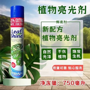 正品荷兰可利鲜光亮剂鲜亮剂植物通用亮叶剂除尘剂绿植叶片亮光剂