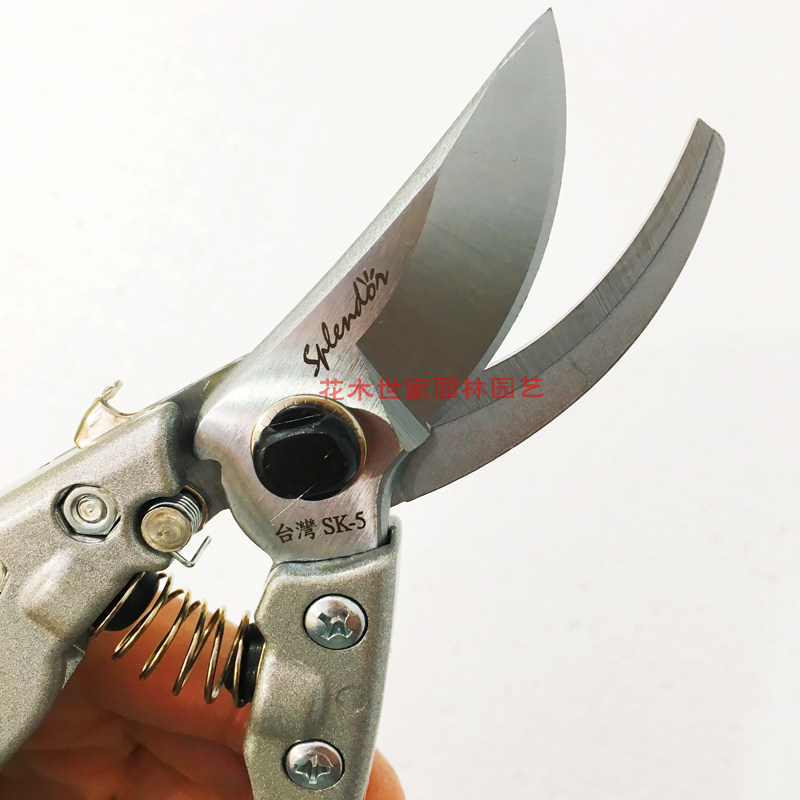 佐佐木SK-5钢园林园艺果树盆景手工剪枝/修枝剪刀 绿篱粗枝剪包邮