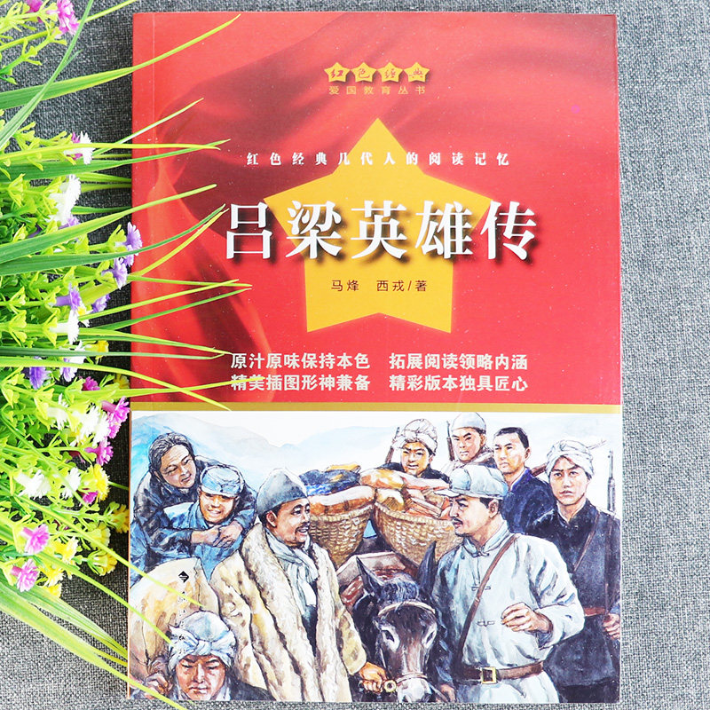 青少年的党史书革命传统3-6年级课外阅读红色经典励志中国吕梁英雄传