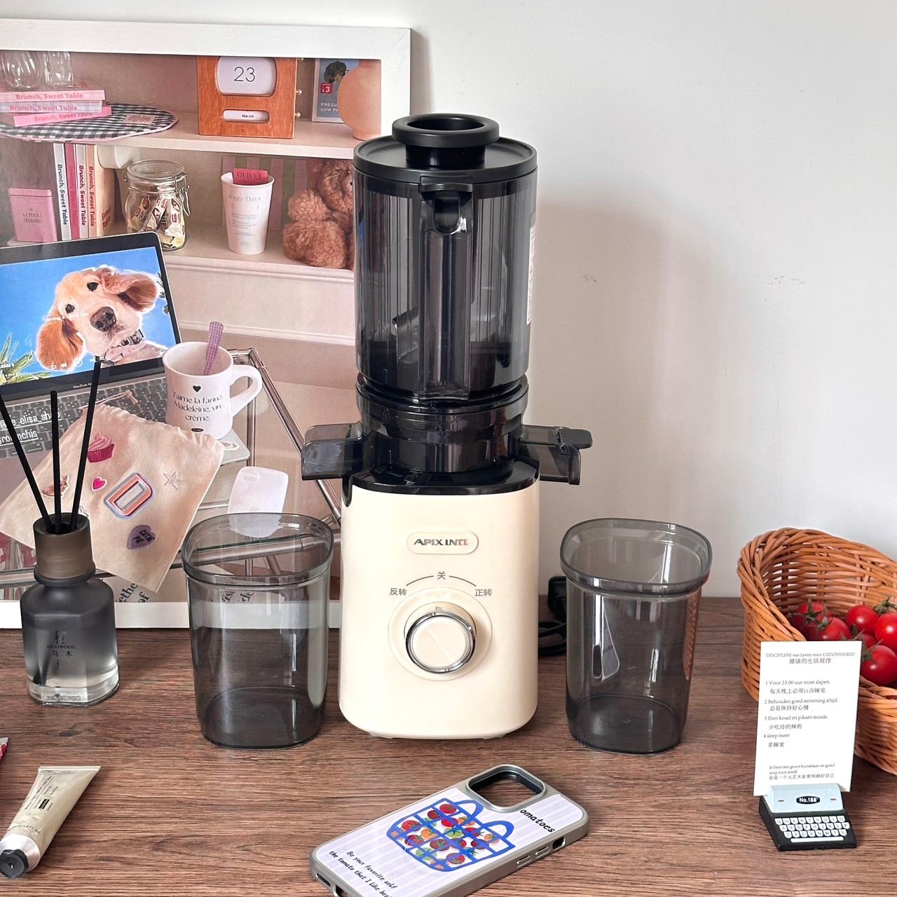 Apixintl安本素APIX-SJA01大口径原汁机家用榨汁分离全自动预切刀