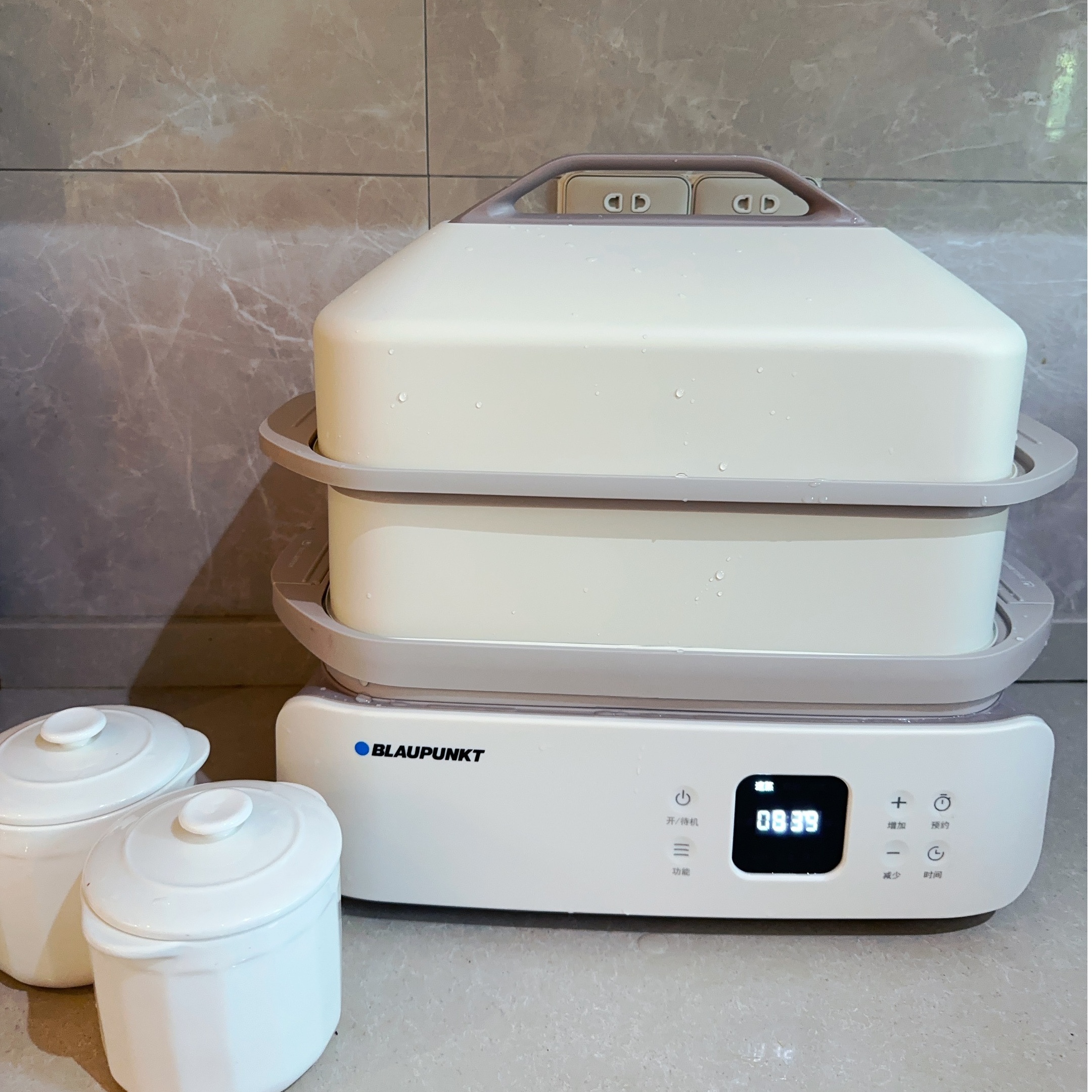 BLAUPUNKT/蓝宝BP-ZG13御膳电蒸锅多功能家用不锈钢蒸汽锅早餐机