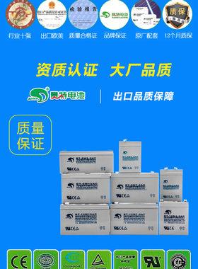 BT赛特电瓶蓄电池电子计价台秤百鹰吊秤称地磅6v耀华衡器友声ACS