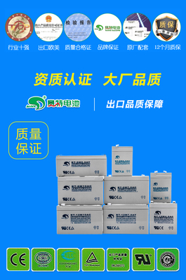 赛特电子秤电瓶4A蓄电池6V4A吊秤