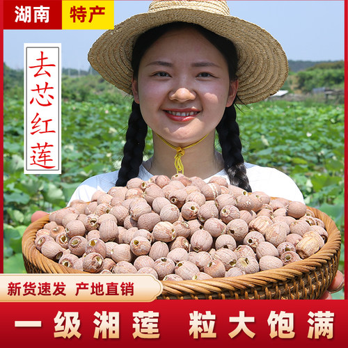 【去芯红莲】新货湘潭特产自产干货 莲小妹无芯湘莲子红皮寸三莲