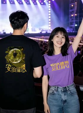 2026许嵩安泊猜想演唱会同款短袖T恤男女歌迷应援物纯棉体恤衣服