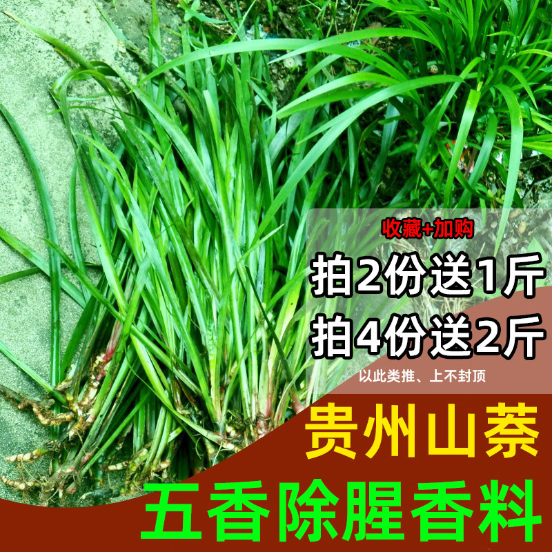贵州特产新鲜1000g 山奈五香草火锅去腥除味调味香料随手香鸡香草