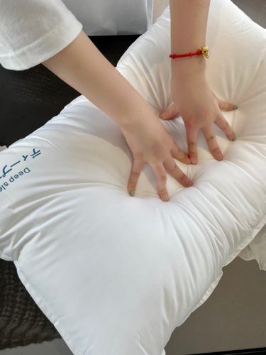 日本轻柔高回弹纯棉五星级枕头