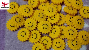 正品 向日癸太阳花 网球拍 避震器 壁球拍减震器 网球配件