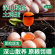 杨博士土鸡蛋皖南深山散养土鸡蛋月子鸡蛋新鲜草鸡蛋营养蛋整箱